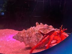 -欢乐海岸海洋奇梦馆