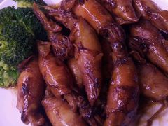 -鲤鱼塘农家山庄