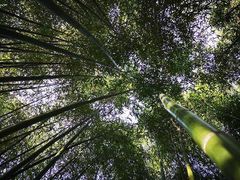 -竹泉村旅游度假区