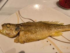 鐵板小黃魚-桃源咖啡厅(武夷山大红袍山庄店)