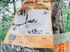 -沈阳辉山风景区