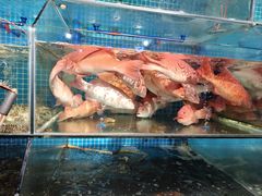 -熙楼(翠湖店)