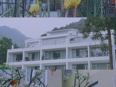 -龙坞茶村