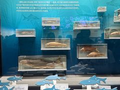-四川大学博物馆