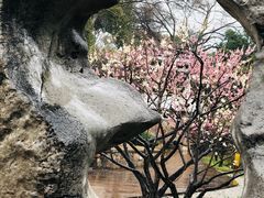 -无锡梅园公园