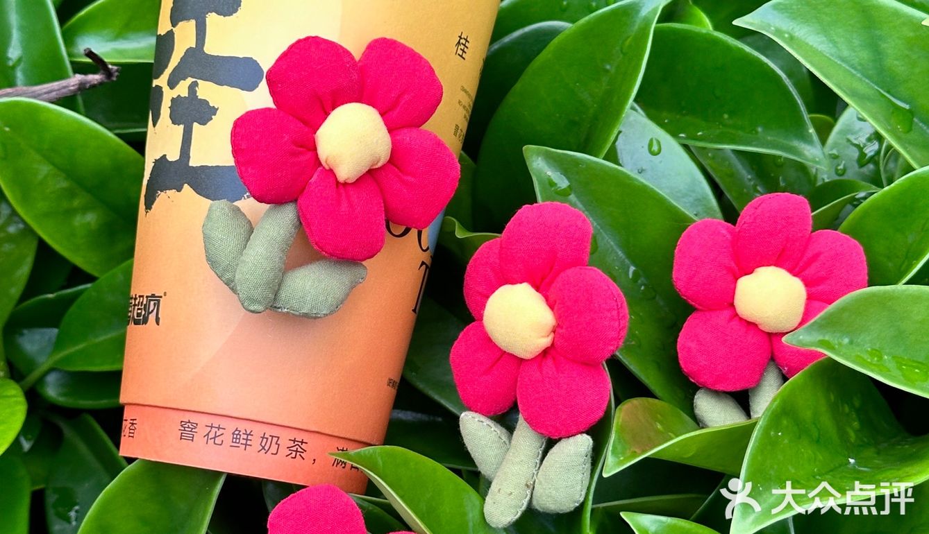 在泉州！莓超疯六一送你一朵小红花！！ 