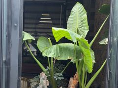 -陈熹公民族美食文化餐厅(中华广场店)