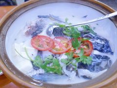 -全乐鱼馆·淳牌有机鱼直营店