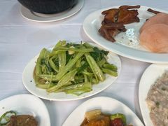 -新陶陶酒家