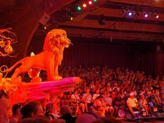 -奥兰多迪士尼动物王国乐园