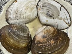 -震海贝烤贝·民俗特色店(延吉总店)