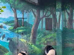 -中国大熊猫保护研究中心雅安碧峰峡基地