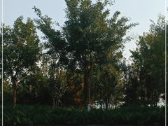 -金梦海湾浴场