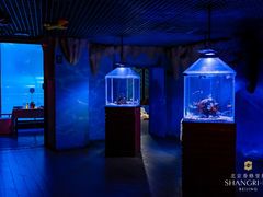 -太平洋海底世界