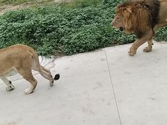 -西安秦岭野生动物园