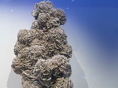 -重庆自然博物馆(新馆)