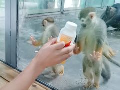 -西安秦岭野生动物园