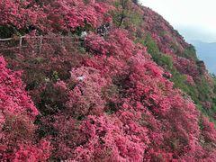 -木兰云雾山