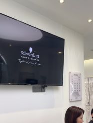 -YESIDO椰岛造型