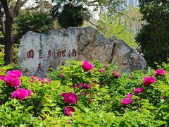 -洛阳市牡丹公园