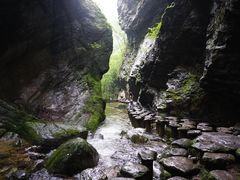 -牛背梁国家森林公园