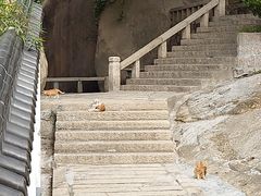 -厦门鸿山寺
