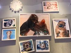 -猫抓烤肉(武进吾悦广场店)