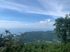 -武陵山森林公园