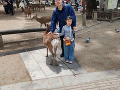 -奈良公园