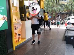 -麦当劳(伟城广场店)