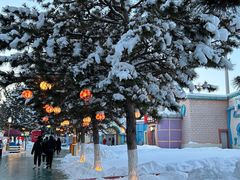 -沈阳方特欢乐世界