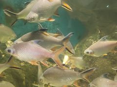 -西安曲江海洋极地公园