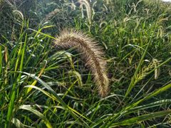 -敬亭山风景名胜区