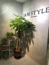 -JM STYLE造型明星.网红