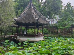 -上海醉白池公园