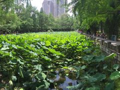 -四川大学(华西校区)