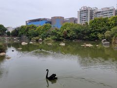 -厦门悦华酒店