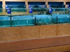 水产区-香顺·客家菜(常平店)
