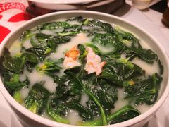 鸡汤菠菜-阿五黄河大鲤鱼(海尚店)