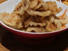 锅包肉-金掌勺·锅包肉(广渠门店)
