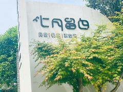 -龙坞茶村