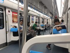 -大龙山(地铁站)