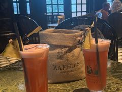 -Long Bar(莱佛士酒店)