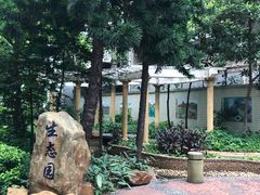 -广州市西关外国语学校小学部