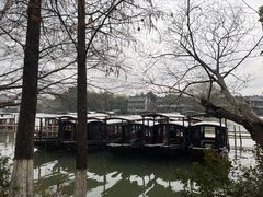 -乌镇景区