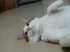 -奥冠恒温游泳馆(黄埔公园店)
