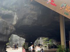 -新加坡飞禽公园