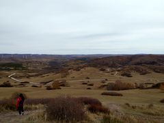 -塞罕坝国家级自然保护区