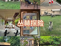 -合肥野生动物园