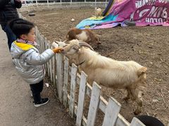 -前小桔亲子创意农场·草莓采摘·露营烧烤